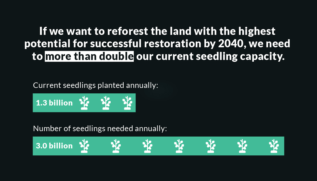 Graphic showing the need for growing and planting more seedlings.